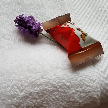 Magnolia Goscinne Malbork