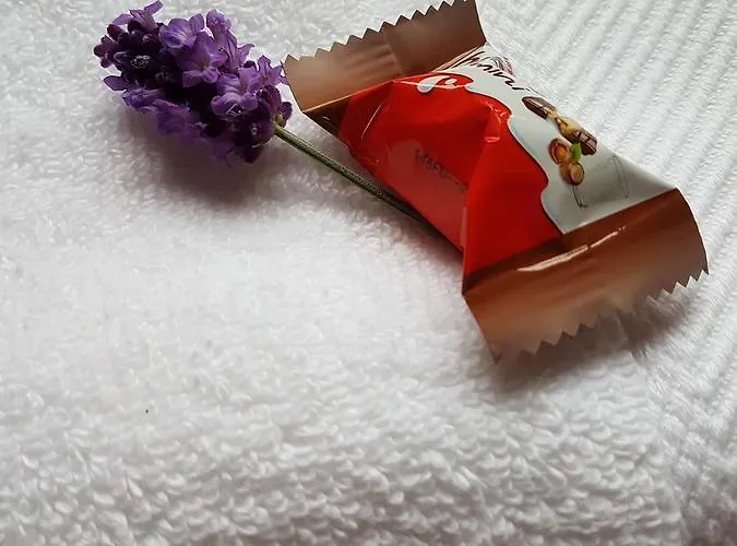 Magnolia Goscinne Malbork